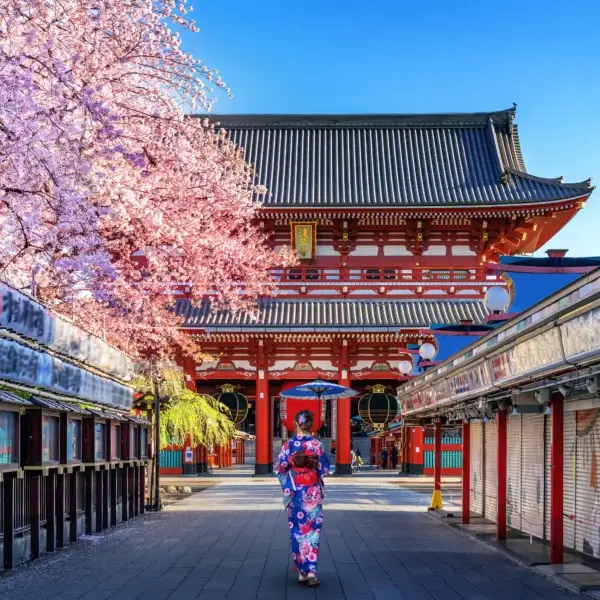 Découvrez toutes nos destinations: Voyage sur mesure au Japon